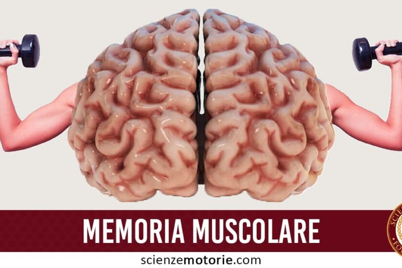memoria-muscolare